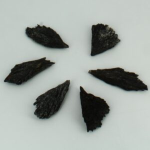 Cinita Negra