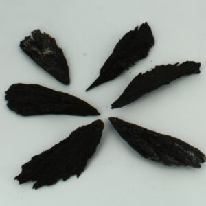 Cianita Negra (escoba de bruja)