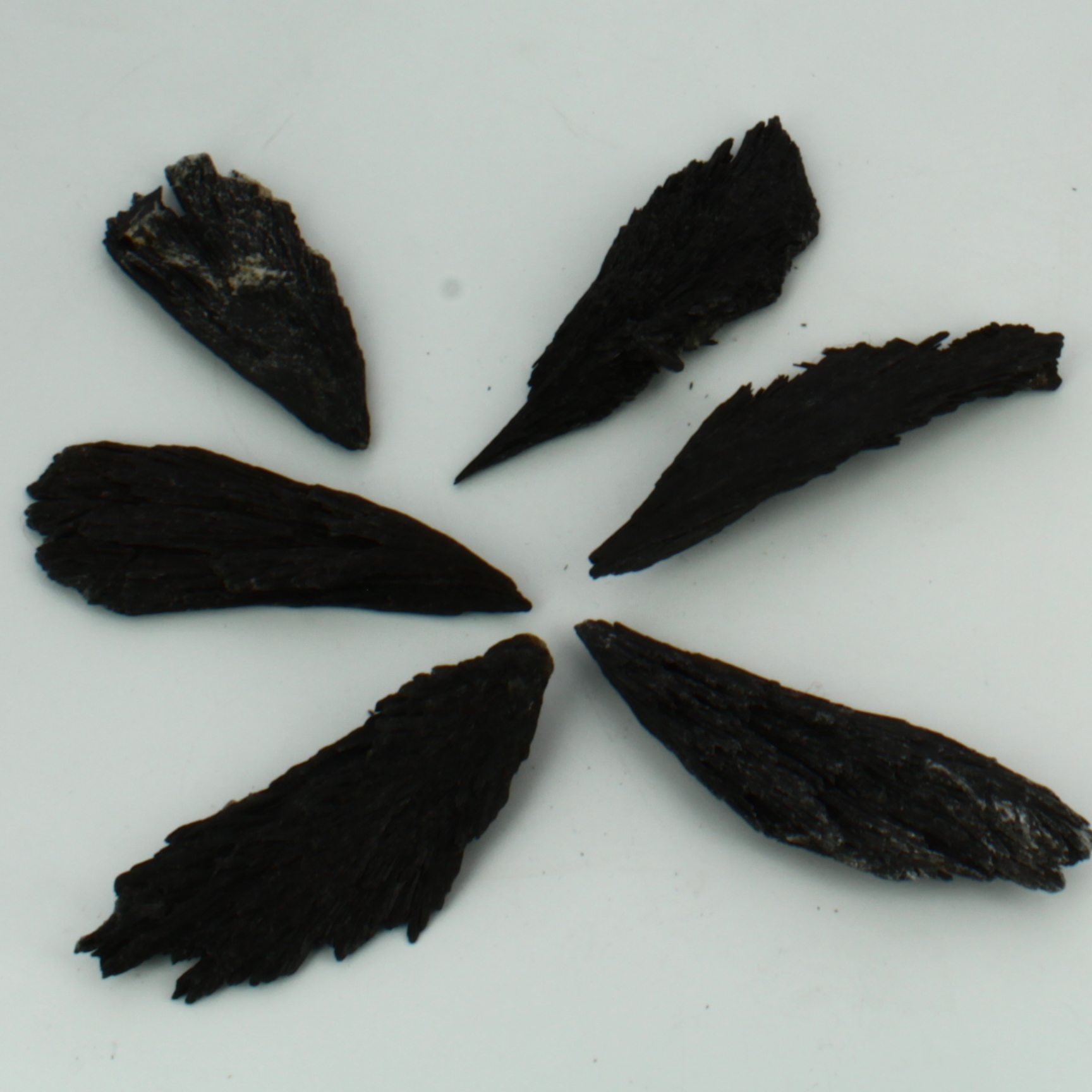 Cianita Negra (escoba de bruja)