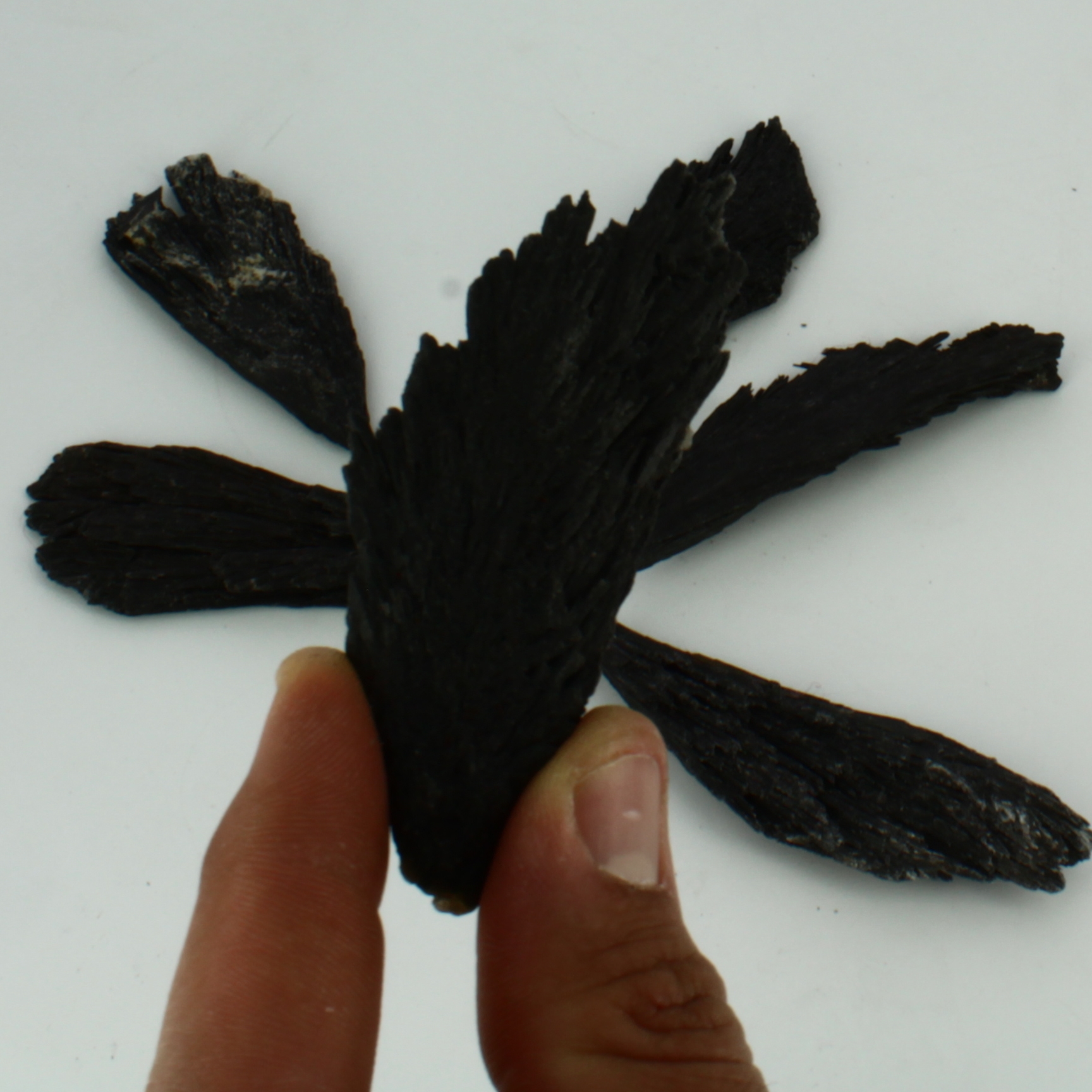Cianita Negra (escoba de bruja) - Imagen 2